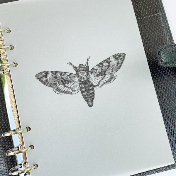 Vellum Printed Deaths Head Moth Planner Dashboard - East Street Paper Co.