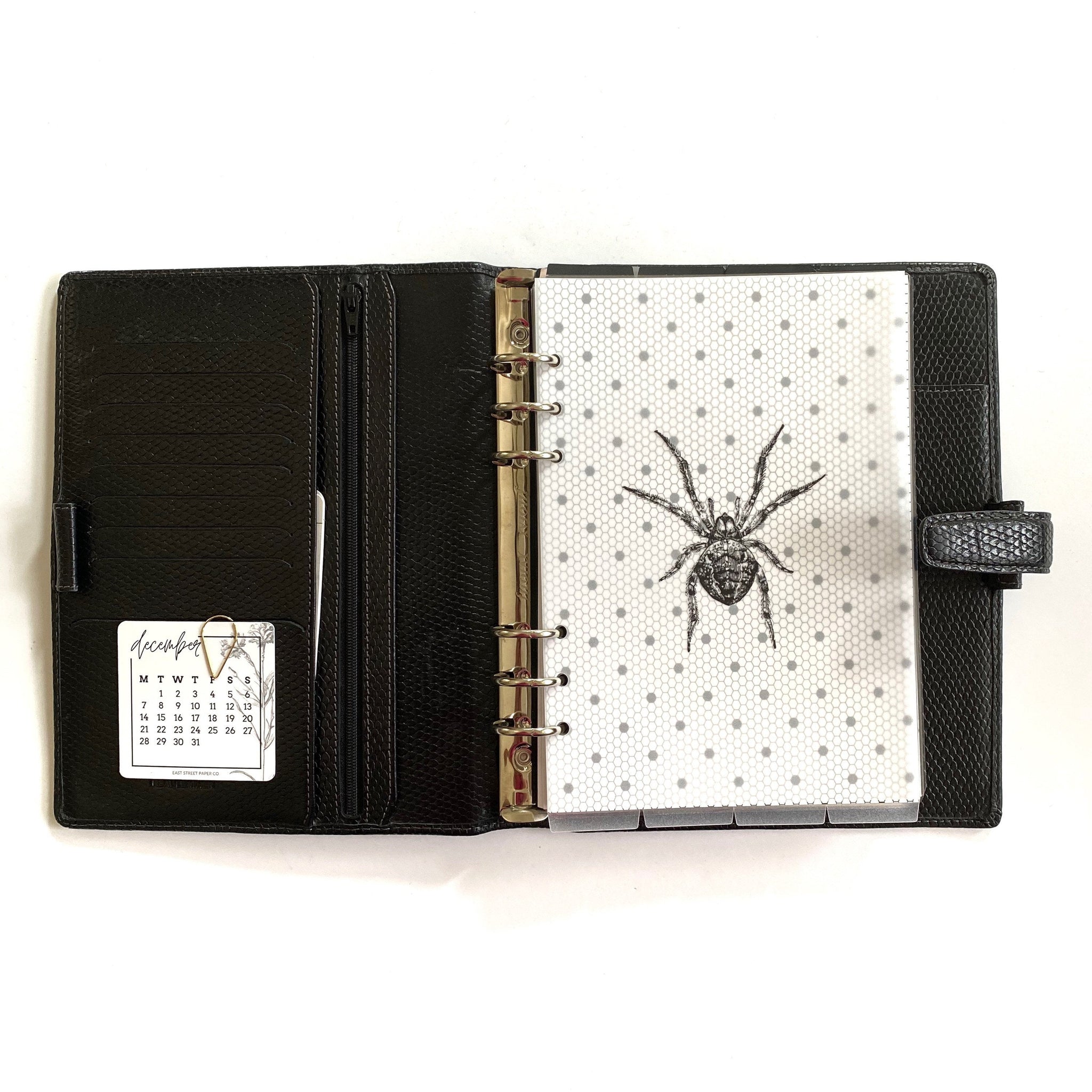 Spider Minimal Planner Dashboard Vellum Overlay Dash Inbox Clear - East Street Paper Co.