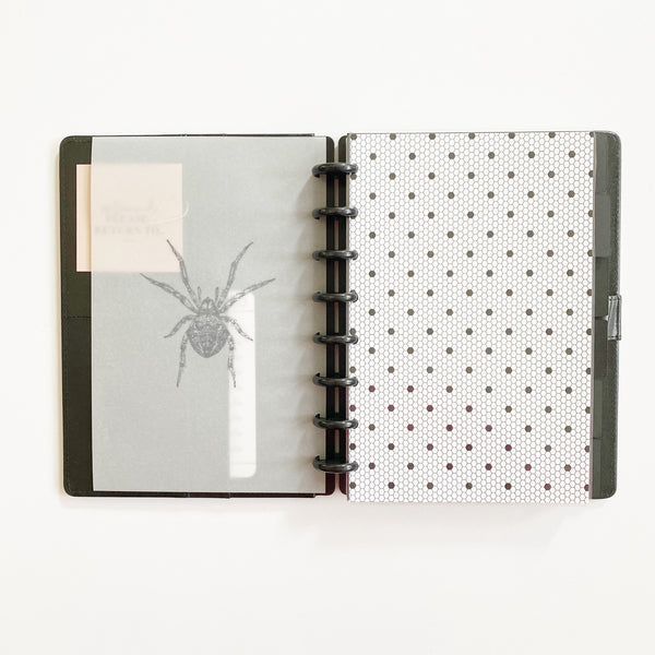 Spider Discbound Vellum Dashboard - East Street Paper Co.