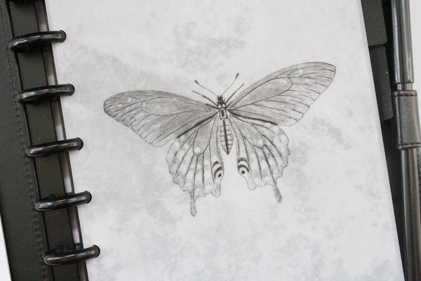 Swallow Tailed Butterfly Discbound Vellum Dashboar - East Street Paper Co.