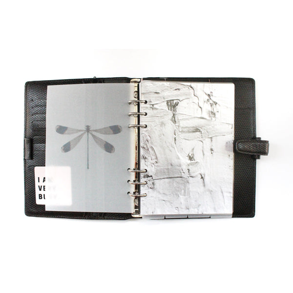 Dragonfly "Helicopter Damselfly" Vellum Minimal Planner Dashboard - East Street Paper Co.