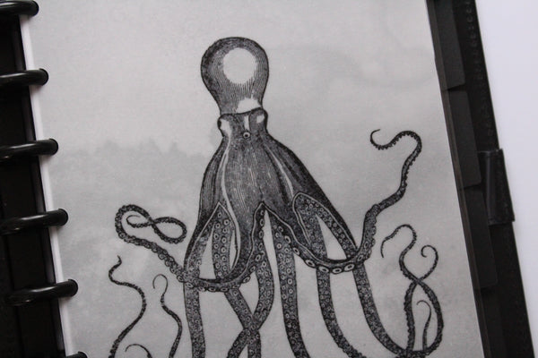 Octopus Discbound Vellum Dashboard