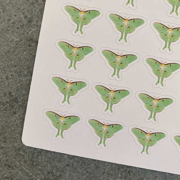Luna Moth Mini Planner Stickers Functional Planner Icon Deco Sheet